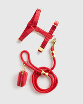 100% Cotton-Wrapped Nylon Dog Harness Walk Kit - XS / Ruby