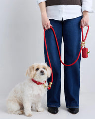 100% Cotton-Wrapped Nylon Dog Collar Walk Kit - XS / Ruby