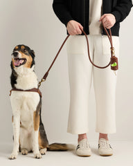 Italian Leather Dog Harness Walk Kit - XS / Brown