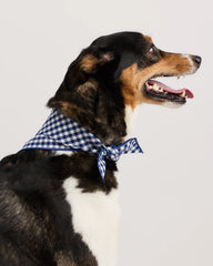 100% Cotton Pet Bandana (3-pack) - S / Navy/Red/Black