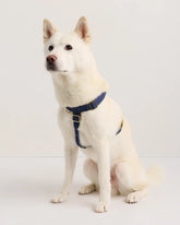 100% Cotton-Wrapped Nylon Dog Harness - XS / Navy