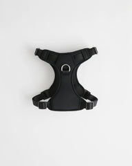 Dog Harness Walk Kit - XS / Black