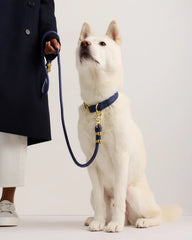 100% Cotton-Wrapped Nylon Dog Collar - XS / Navy