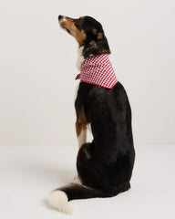 100% Cotton Pet Bandana (3-pack) - S / Navy/Red/Black