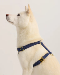 100% Cotton-Wrapped Nylon Dog Harness - XS / Navy
