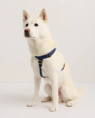 100% Cotton-Wrapped Nylon Dog Harness - XS / Navy