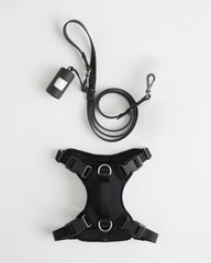 Dog Harness Walk Kit - XS / Black