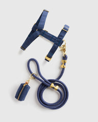 100% Cotton-Wrapped Nylon Dog Harness Walk Kit - XS / Ruby