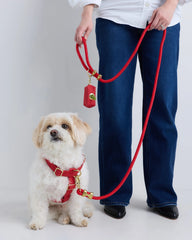 100% Cotton-Wrapped Nylon Dog Harness Walk Kit - XS / Ruby