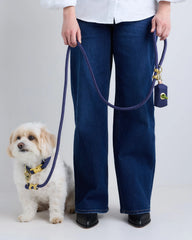 100% Cotton-Wrapped Nylon Dog Collar Walk Kit - XS / Ruby